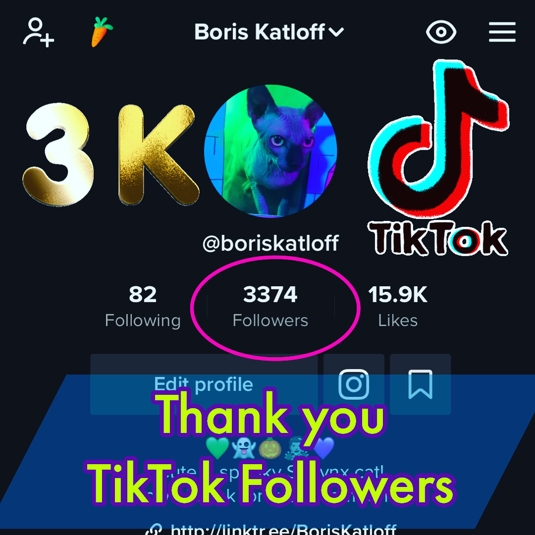 3000 TikTok Followers
