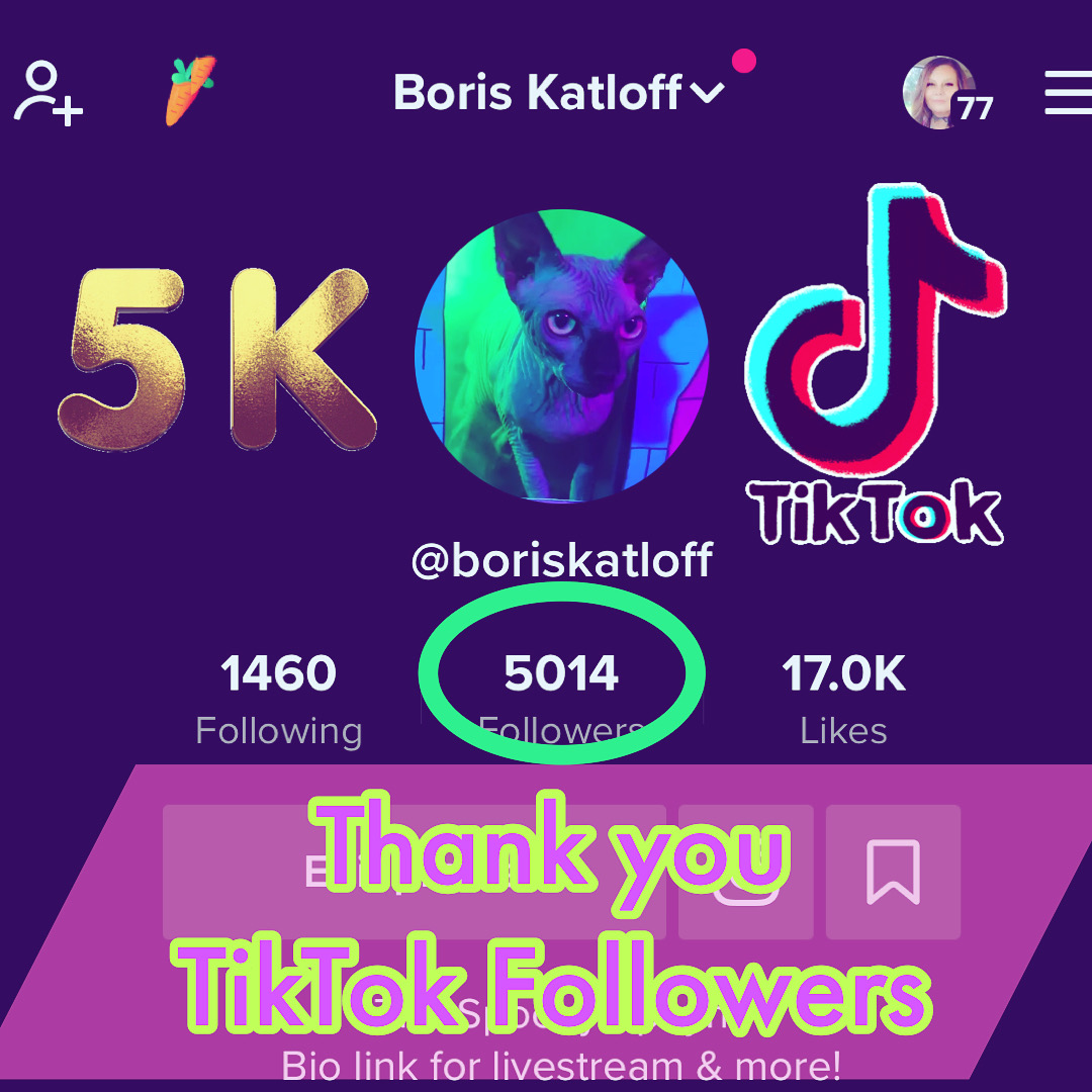 5000 TikTok Followers