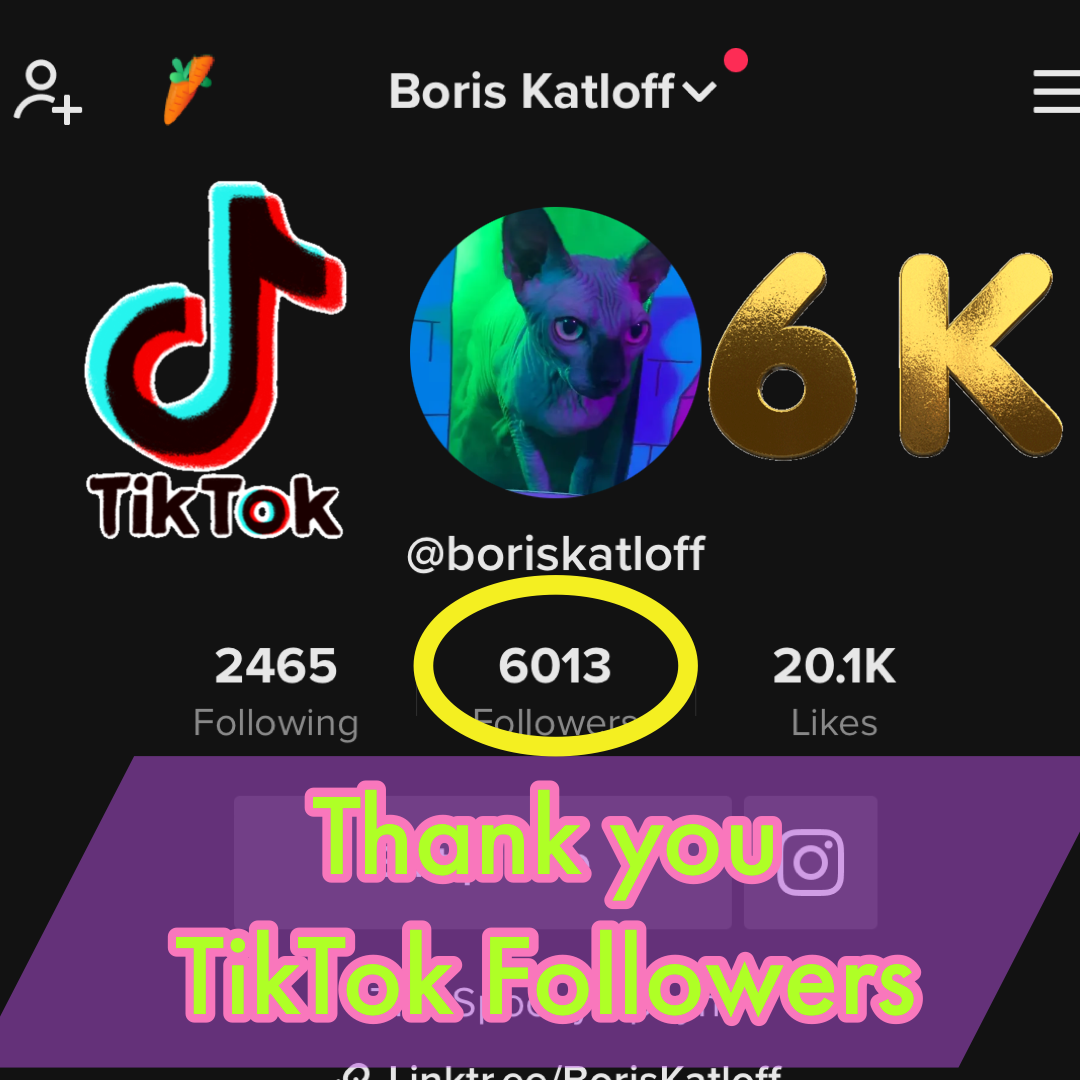 6000 TikTok Followers