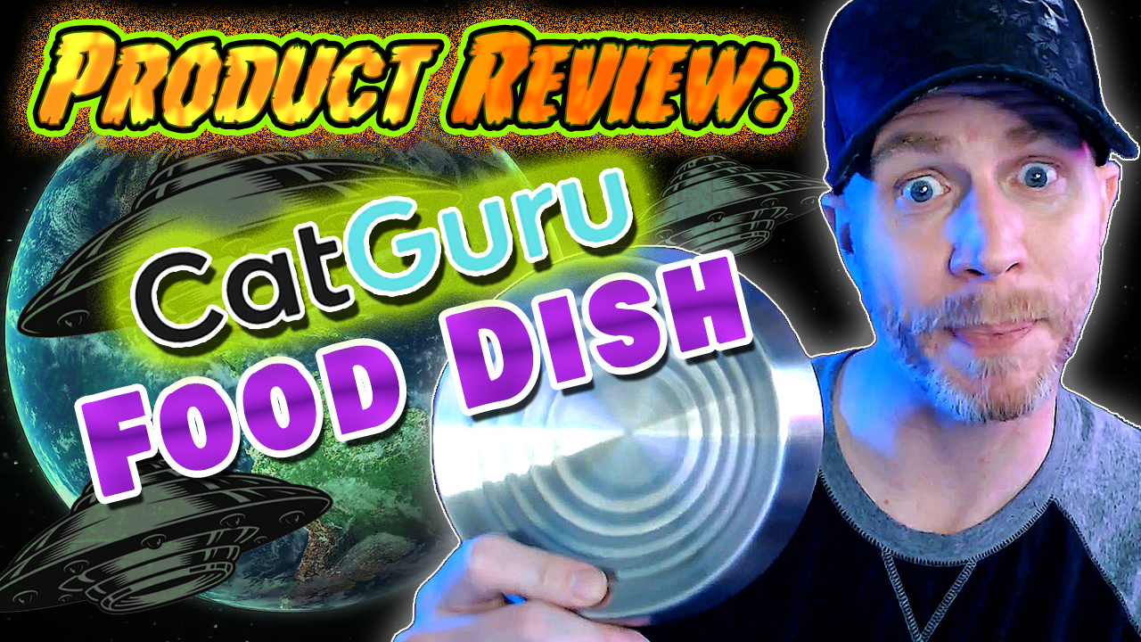 Product Review: CatGuru Food Dish